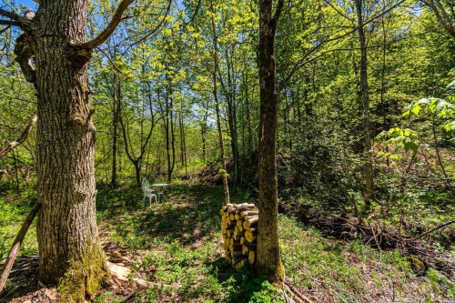 Wooded area - 208 Ch. Ste-Élisabeth, Cantley, QC - Outdoor With View