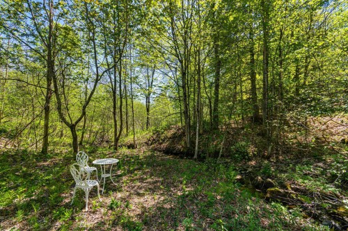 Wooded area - 208 Ch. Ste-Élisabeth, Cantley, QC - Outdoor