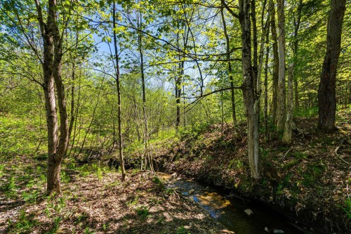 Other - 208 Ch. Ste-Élisabeth, Cantley, QC - Outdoor With View