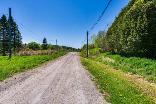 Street - 208 Ch. Ste-Élisabeth, Cantley, QC - Outdoor With View