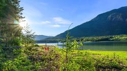 Rock Island Road  Arrow Park, BC V0G 1R1
