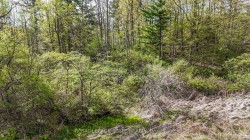 0 Mineral Springs Road  Hamilton, ON L9G 4X1