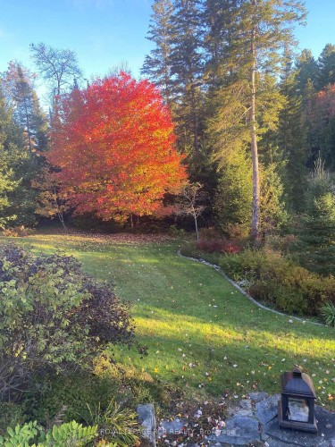 4 Mcgregor Way, Bracebridge, ON - Outdoor With View