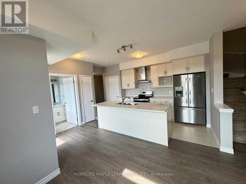 146 Oat Lane, Kitchener, ON - Indoor Photo Showing Kitchen