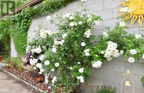 238 Fairridge Road, Hamilton, ON - Outdoor