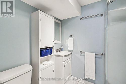 805 Smyth Road, Ottawa, ON - Indoor Photo Showing Bathroom