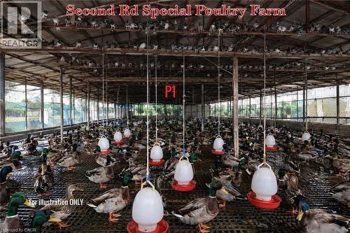 Large agricultural structure featuring a metal frame and overhead roofing - 96 Second Road E, Stoney Creek, ON 