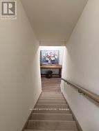 41 SCHMELTZER CRESCENT Richmond Hill, ON L4E 1K9
