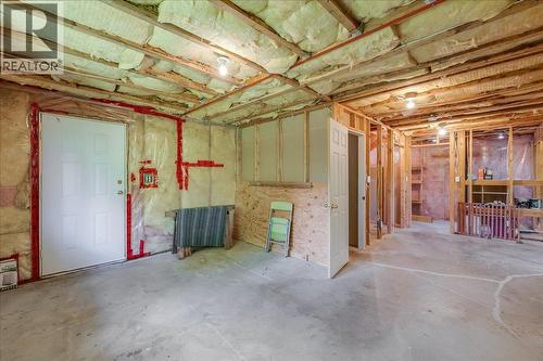 3630 Mountain View Road, Bonnington, BC - Indoor Photo Showing Basement