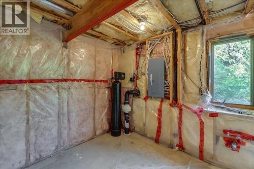 3630 Mountain View Road, Bonnington, BC - Indoor Photo Showing Basement