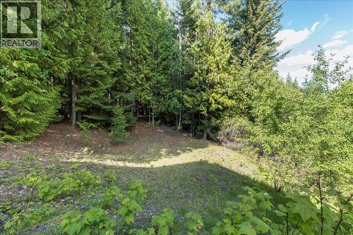 3630 Mountain View Road, Bonnington, BC - Outdoor
