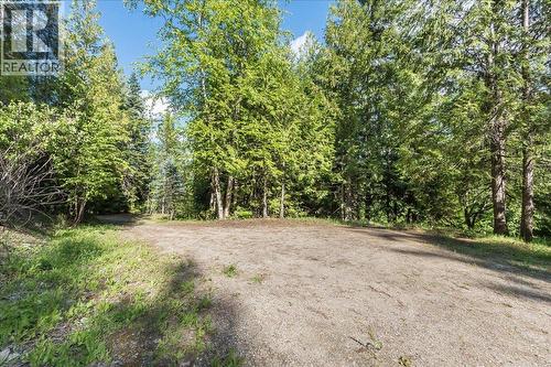 3630 Mountain View Road, Bonnington, BC - Outdoor