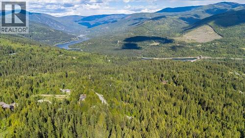 3630 Mountain View Road, Bonnington, BC - Outdoor With View