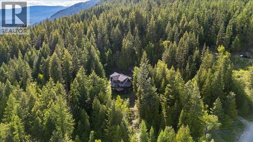 3630 Mountain View Road, Bonnington, BC - Outdoor With View