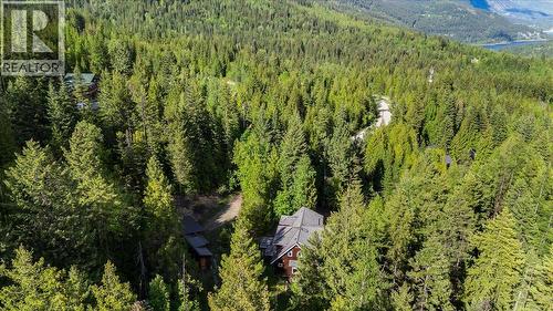 3630 Mountain View Road, Bonnington, BC - Outdoor With View