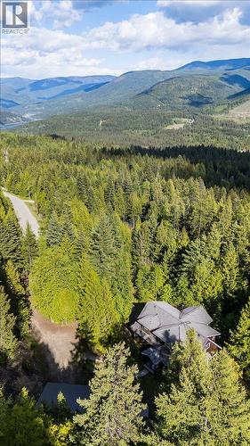 3630 Mountain View Road, Bonnington, BC - Outdoor With View