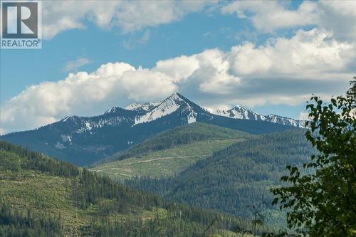 3630 Mountain View Road, Bonnington, BC - Outdoor With View