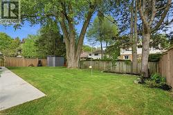 Expansive lawn with mature trees and a concrete patio - 