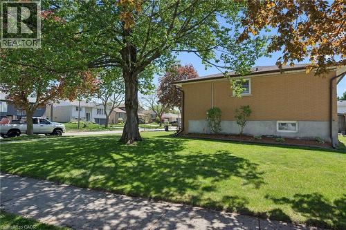 Expansive green lawn with mature shade trees, concrete walkway, and a brick exterior with white window trim and foundational landscaping - 47 Oakhurst Crescent, Kitchener, ON - Outdoor