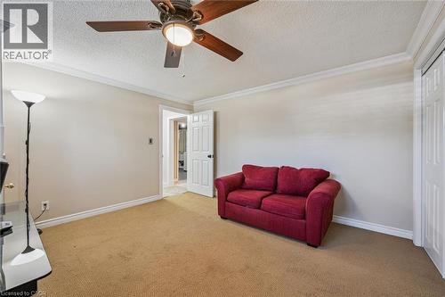 Carpeted room with a ceiling fan, crown molding, and white baseboards - 47 Oakhurst Crescent, Kitchener, ON - Indoor