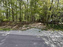 LOT 40 WAKUNDA CRESCENT Tiny, ON L9M 0B2