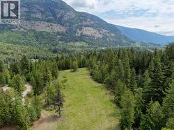 3809 PASSMORE UPPER Road Passmore, BC V1L 2J0