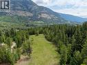 3809 Passmore Upper Road, Passmore, BC 