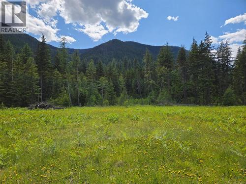 3809 Passmore Upper Road, Passmore, BC 