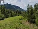3809 Passmore Upper Road, Passmore, BC 