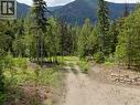 3809 Passmore Upper Road, Passmore, BC 