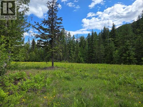 3809 Passmore Upper Road, Passmore, BC 
