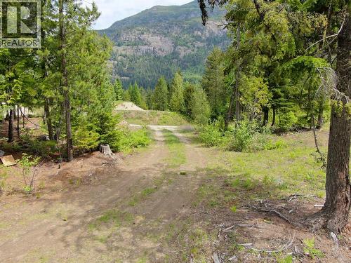 3809 Passmore Upper Road, Passmore, BC 