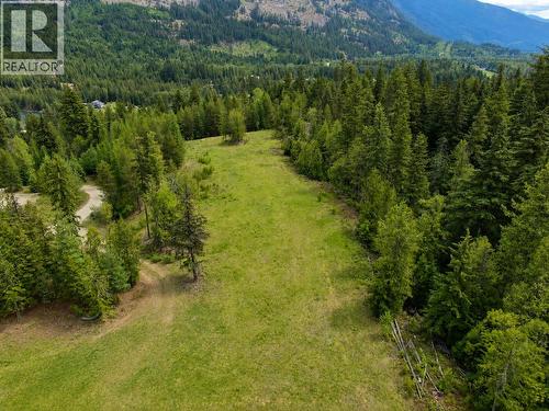 3809 Passmore Upper Road, Passmore, BC 