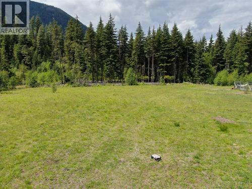 3809 Passmore Upper Road, Passmore, BC 