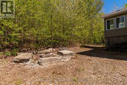 Firepit area - 