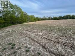 2299 BASELINE ROAD W Clarington, ON L1C 6G4
