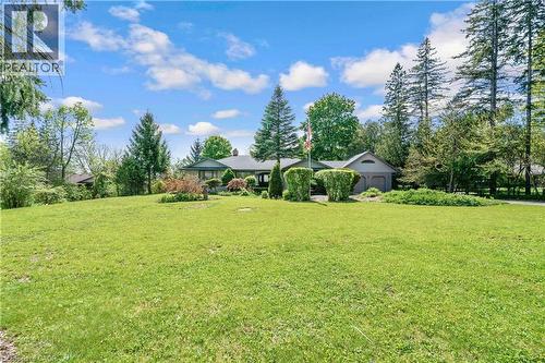 Expansive front lawn with mature evergreen trees and established landscaping - 91 Limerick Drive, Kitchener, ON - Outdoor