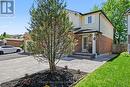 51 Camrose Court, Kitchener, ON  - Outdoor 