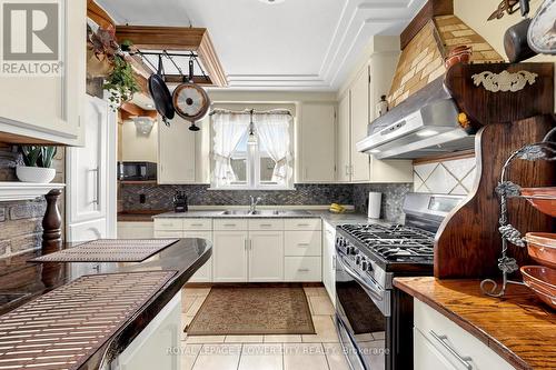 287 Courtland Avenue E, Kitchener, ON - Indoor Photo Showing Kitchen With Double Sink
