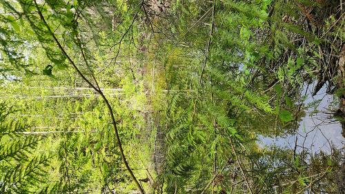 Grange Road, Enderby, BC 