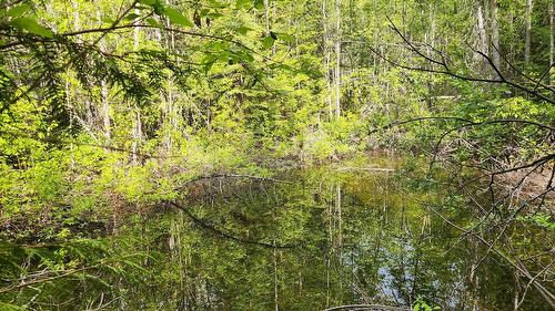 Grange Road, Enderby, BC 