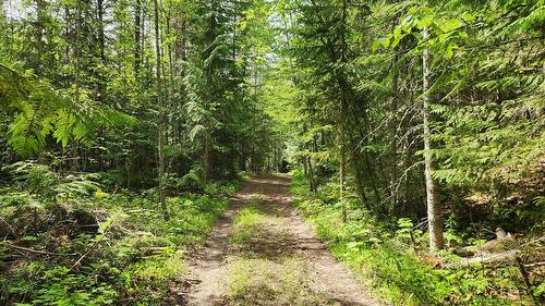 Grange Road, Enderby, BC 