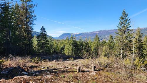 Grange Road, Enderby, BC 