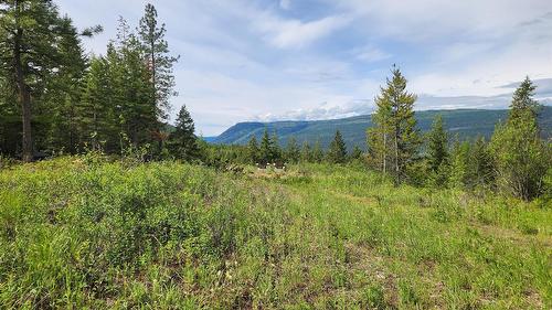 Grange Road, Enderby, BC 