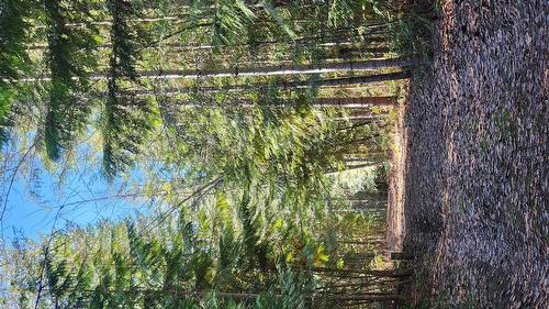 Grange Road, Enderby, BC 