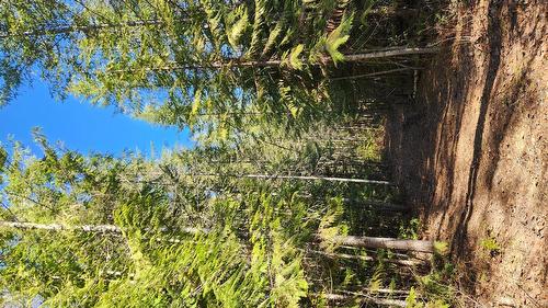 Grange Road, Enderby, BC 