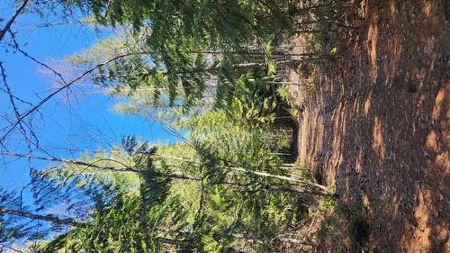 Grange Road, Enderby, BC 