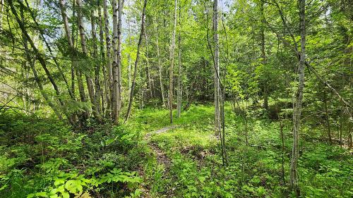 Grange Road, Enderby, BC 