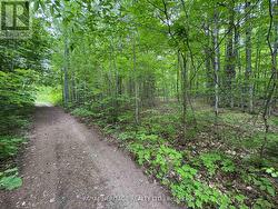1043 LAWRENCE PIT ROAD Muskoka Lakes, ON P0B 1M0