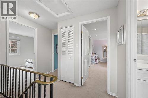 Carpeted hallway with white trim and neutral wall paint - 50 Lewis Crescent, Kitchener, ON - Indoor Photo Showing Other Room